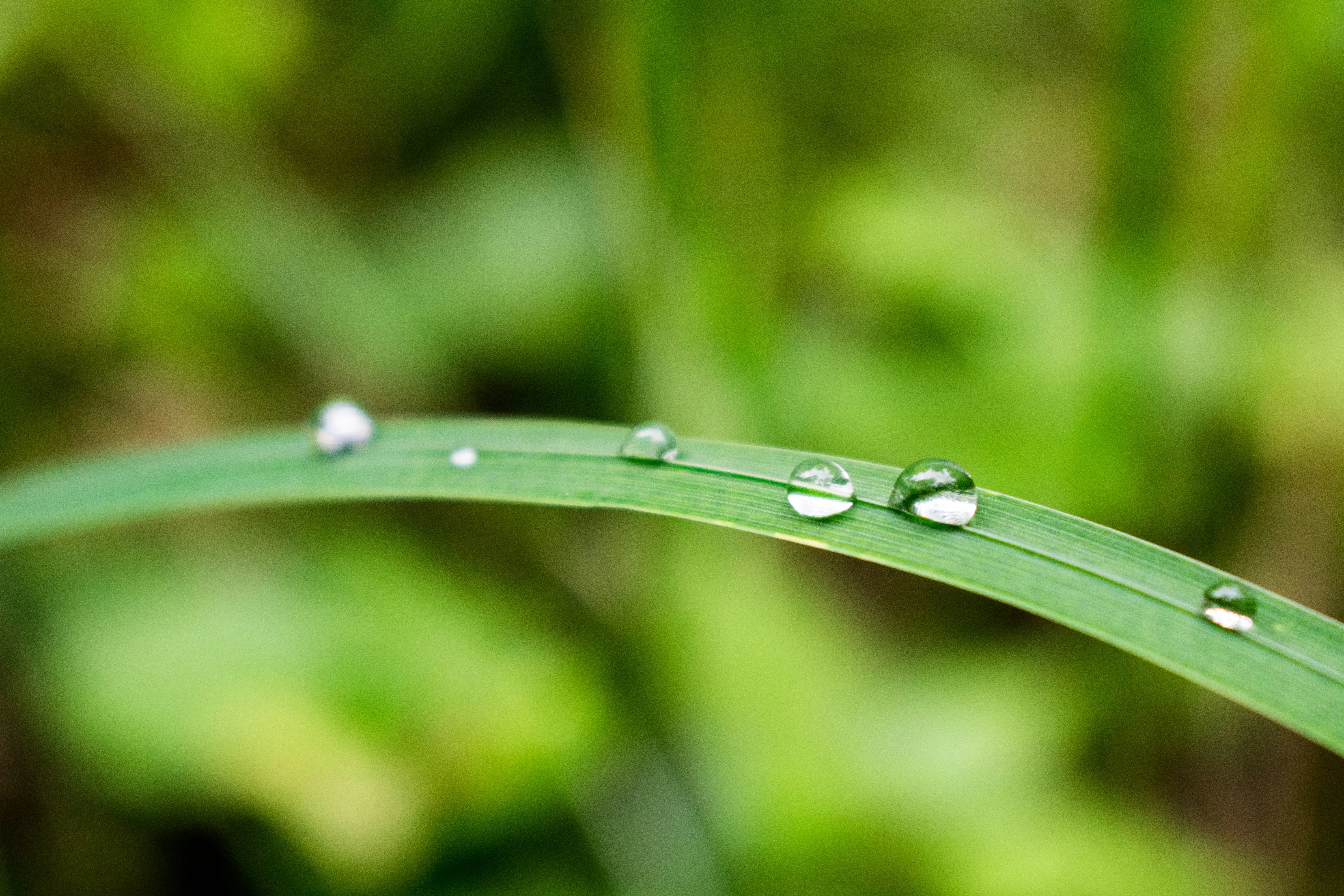 Simple, clear water droplet on leaf - representing clarity over complexity